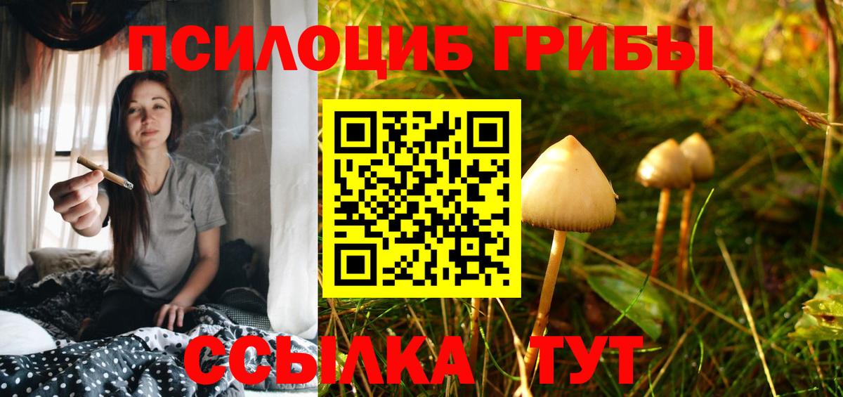 наркошоп  Псилоцибиновые грибы MAGIC MUSHROOMS  Вход с VPN  Галлюциногенные грибы MAGIC MUSHROOMS  Стрежевой 